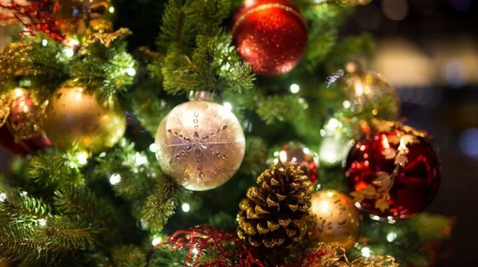 92656031 Istock 498741260